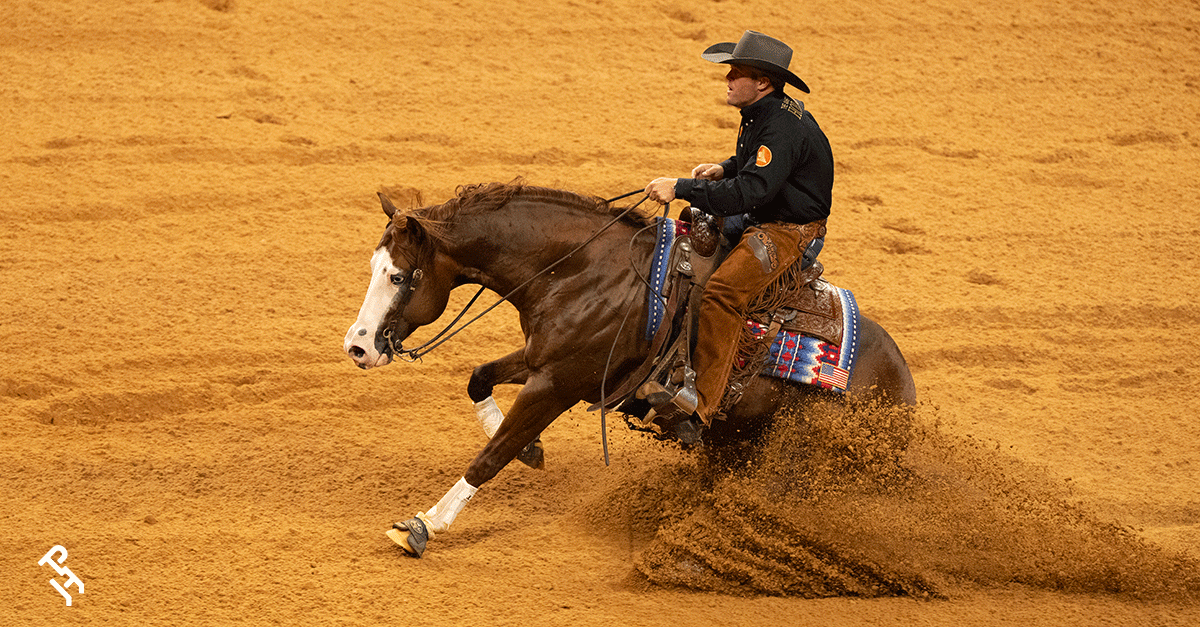 Down Right Amazing hits million dollar milestone APHA: American Paint