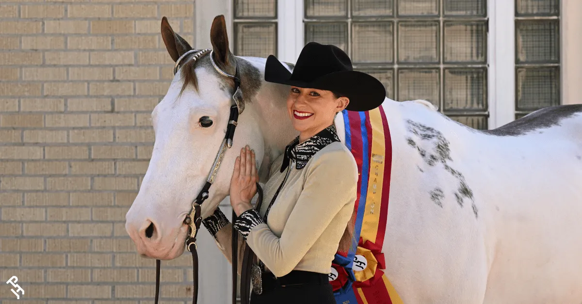 Ideal Series-American Paint Horse - NE