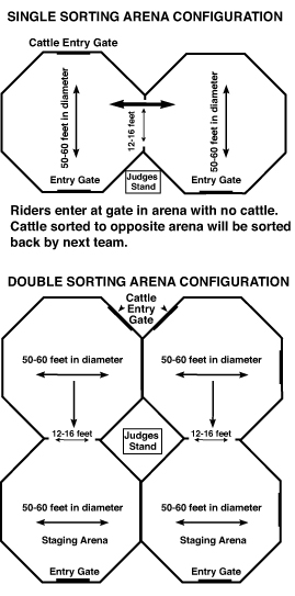 cattlesorting-pattern0308