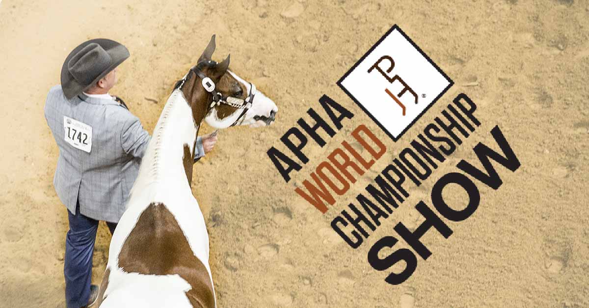 APHA World Championship Show schedule now available Apha
