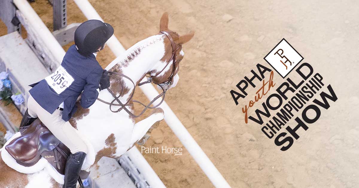2018 APHA Youth World Show Premium Book now available APHA