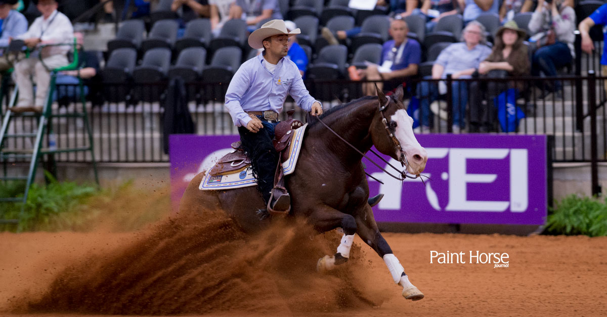 9 Paints advance to individual medal finals at FEI World Equestrian ...