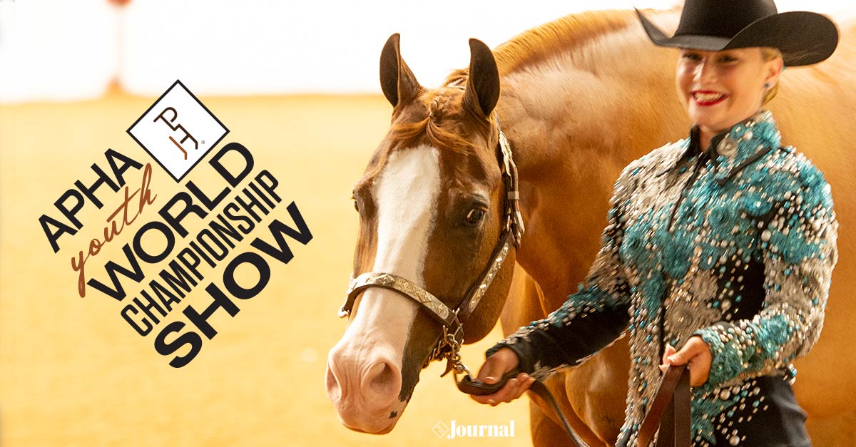 2020 APHA Youth World Show Premium Book now available APHA