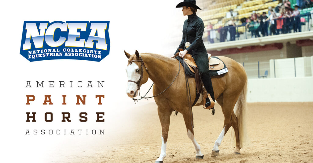 200+ collegiate equestrians honored for academic excellence by APHA