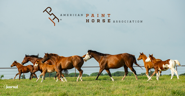 Nominations open for 2023-2025 APHA state directors