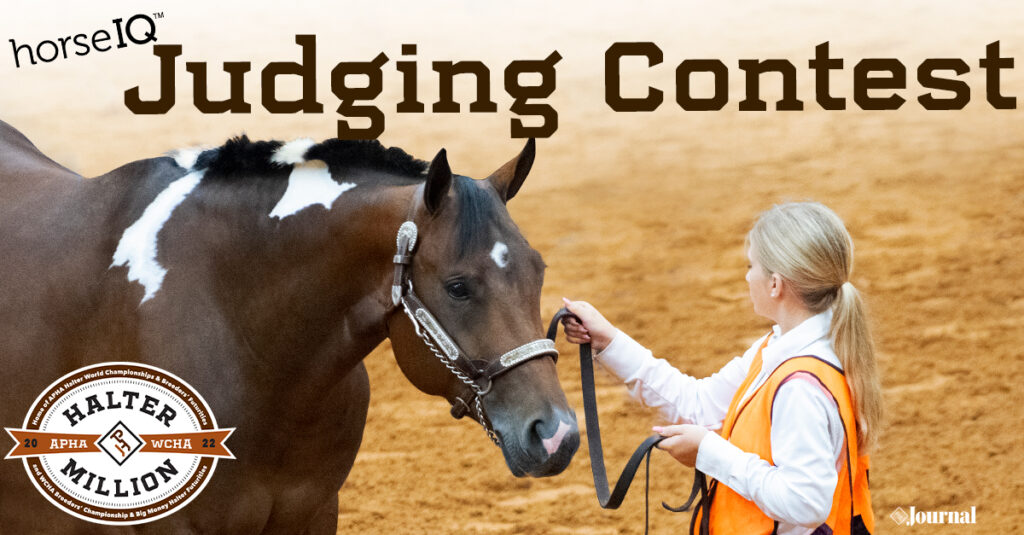 Be the judge at the 2022 APHA horseIQ Collegiate & Youth Horse Judging Contest on October 1