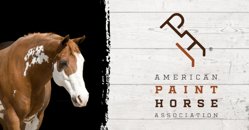 Apply to be a 2023 APHA Star