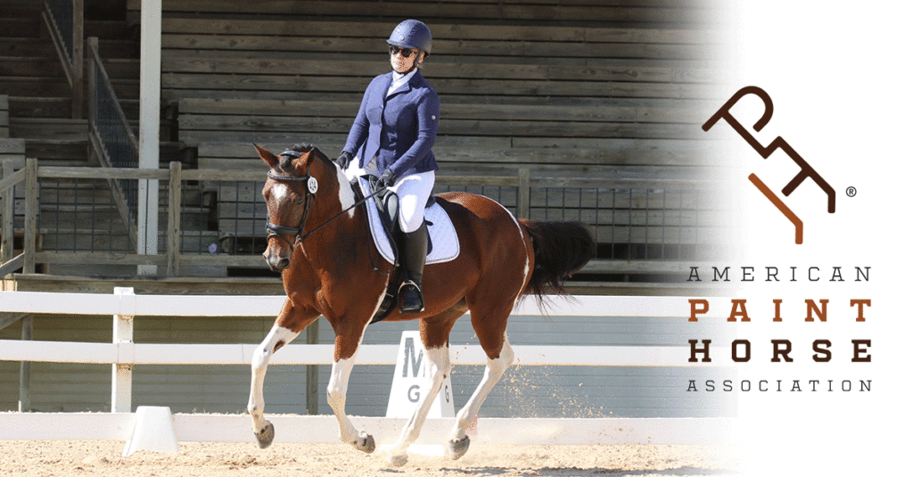 Paints color dressage, honored with 2022 USDF All-Breed Awards