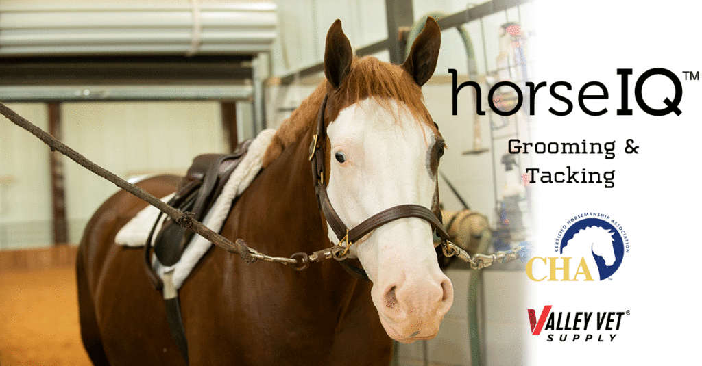 The APHA HorseIQ “Equine Grooming & Tacking” course explains how to best groom, tack your horse (both English and Western) and make sure your tack fits properly to help keep your horse healthy, comfortable and performing his best.