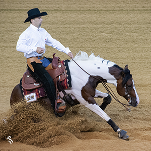 A Paint Horse performing a sliding stop at a reining event.