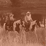 Two people riding their Paint Horses together in a field.