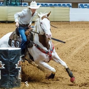 A Paint Horse turning the barrel at a barrel race.