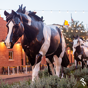 APHA Legacy of Color bronzes.