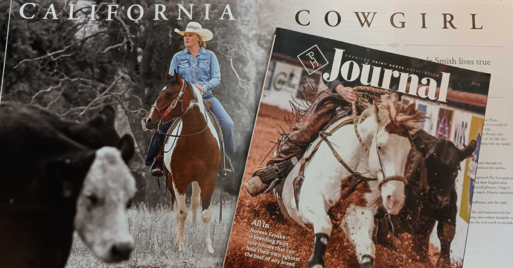 equine media, Paint Horse Journal, Chrome