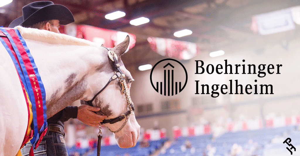 An APHA World Champion horse with the Boehringer Ingelheim logo.