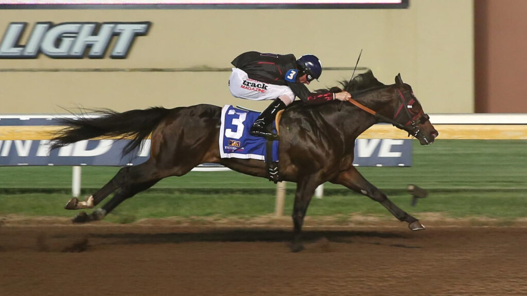 Racehorse, Painted Turnpike, running at the track.