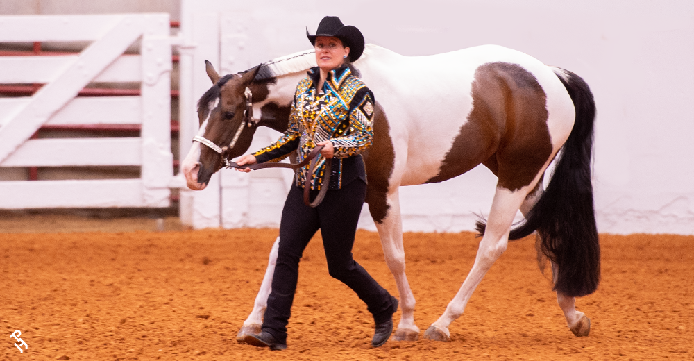 An amateur exhibitor showing at World Show.