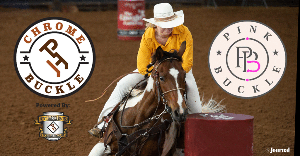 A Paint Horse barrel racing.