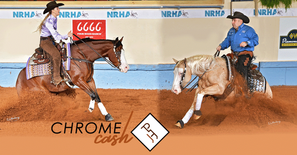 Paint Horse competing at the NRHA futurity.