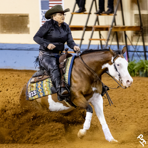 A Paint Horse doing a sliding stop.