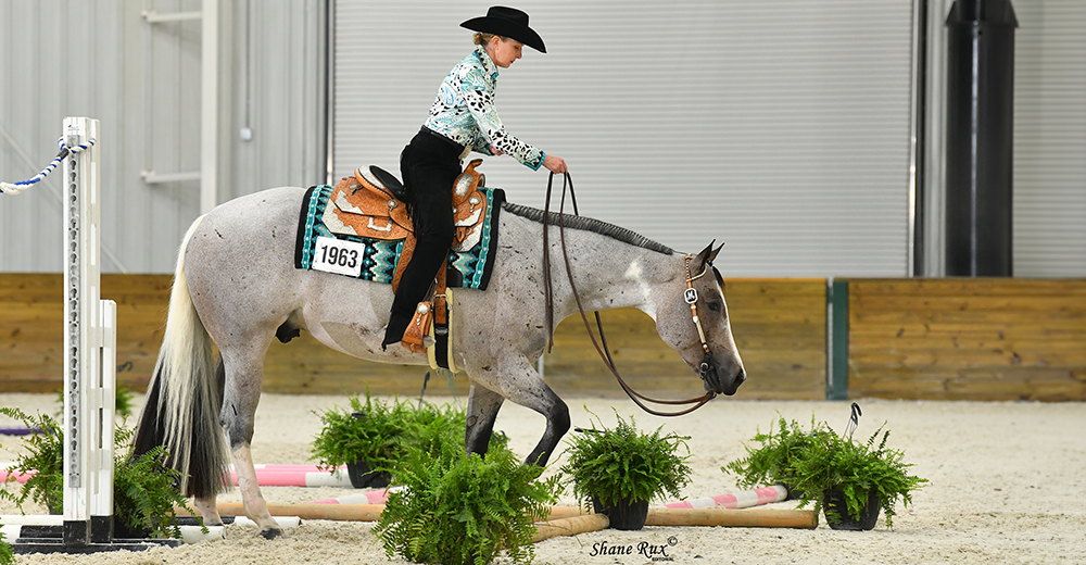 Paint Horse competing in a trail class.