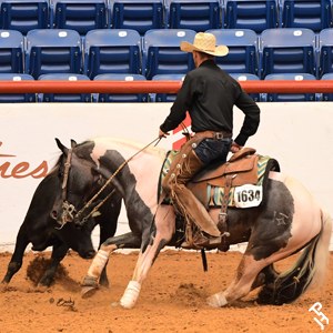 A Paint Horse doing fence work at an NRCHA event.