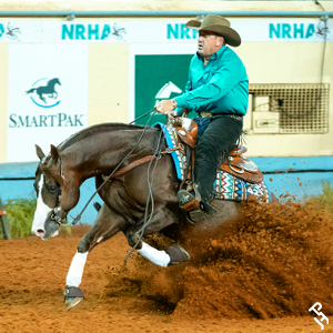 A Paint Horse stopping at an NRHA event.