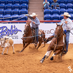 Paint Horse during Team Roping at the World Show.