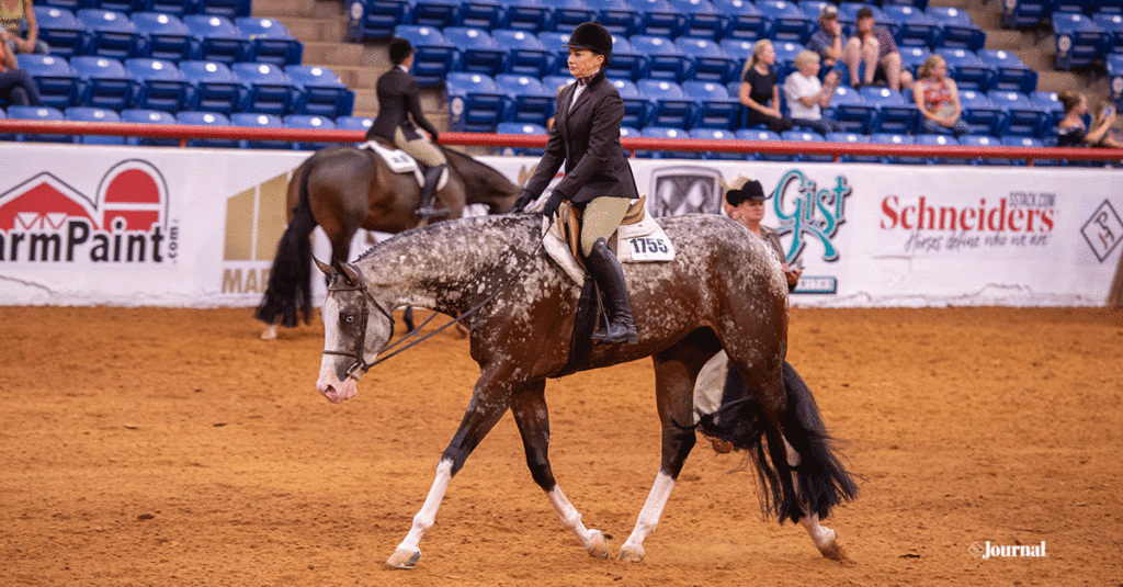 Shethinksmyfactorsexy in the show arena.