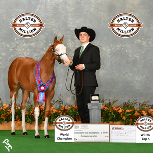 Halter Million backdrop photo.