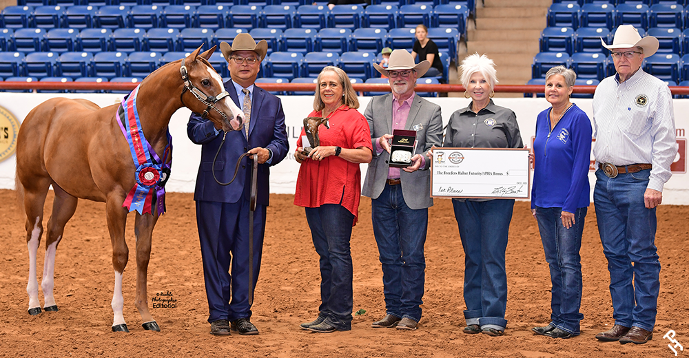 Sponsors presenting awards at Halter Million.