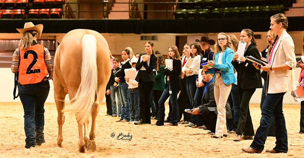 A group of contestants judging Ranch Horse Conformation.