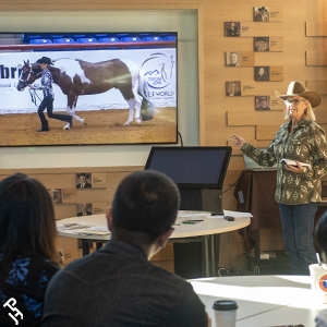 Sandy Jirkovsky teaching at a judges' seminar.