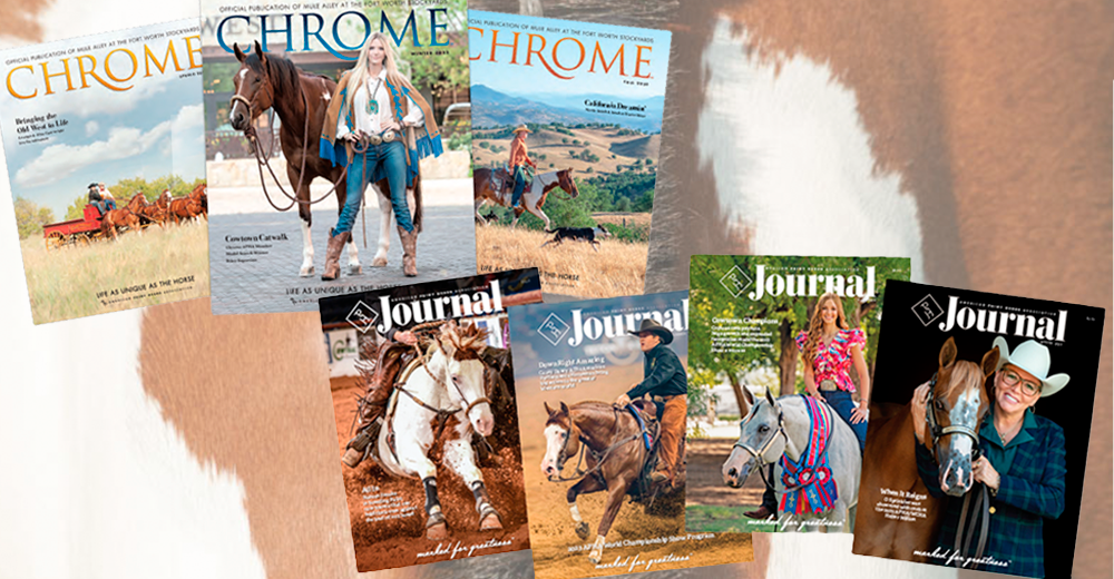 A spread of PHJ and Chrome magazine covers.