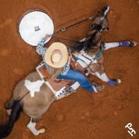 Aerial view of a Paint Horse barrel racing.