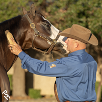 APHA Markel Professional Horseman, Mike Hachtel.