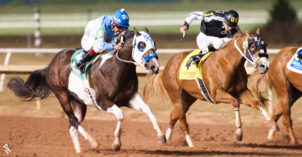 A Paint Horse running down the track.