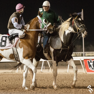 Two Paint Horses and their jockeys at the racetrack.