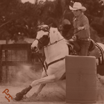 A Paint Horse round a barrel.