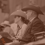 Judges watching a class from the stands.