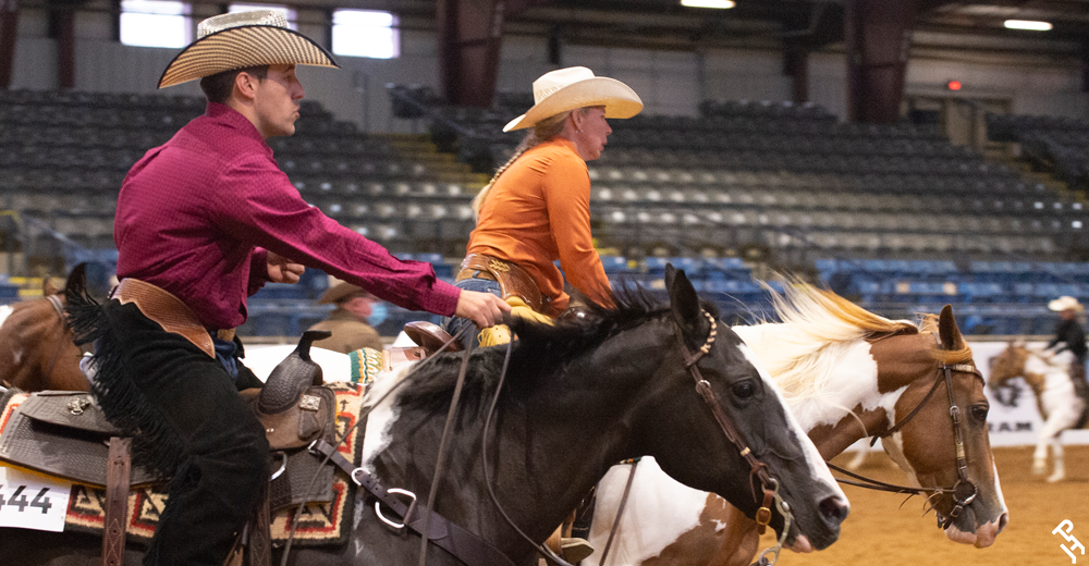 Two Paint Horse competing at World Show.