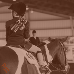 A Youth rider on their Paint Horse.