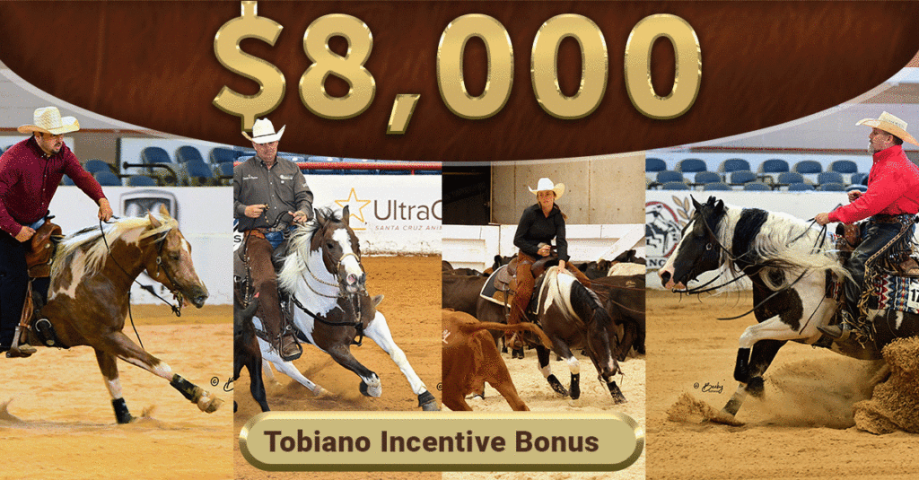 The four tobiano incentive winners.