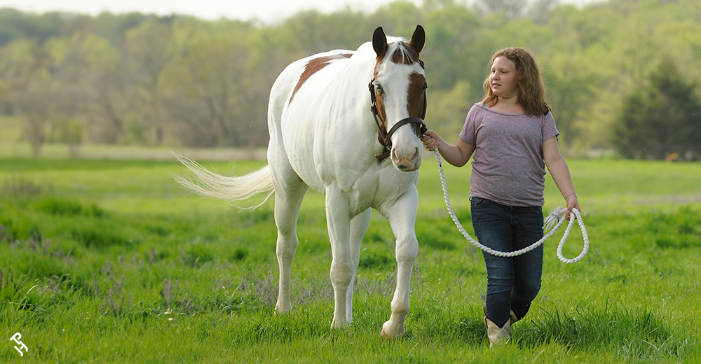 A youth member walking their Paint Horse in a field.