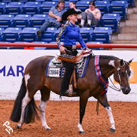 Paint Horse and rider doing a victory lap at World Show.