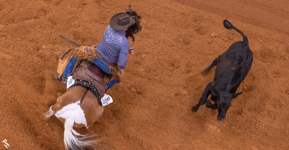 Overhead view of a Working Cow Horse class.