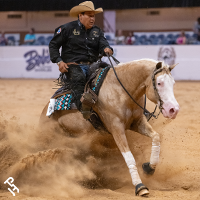 A Paint Horse stopping in a World Show reining class.