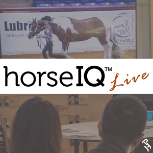 horseIQ live logo.