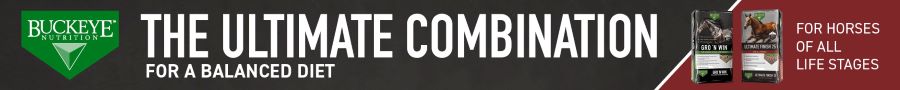MARS Banner