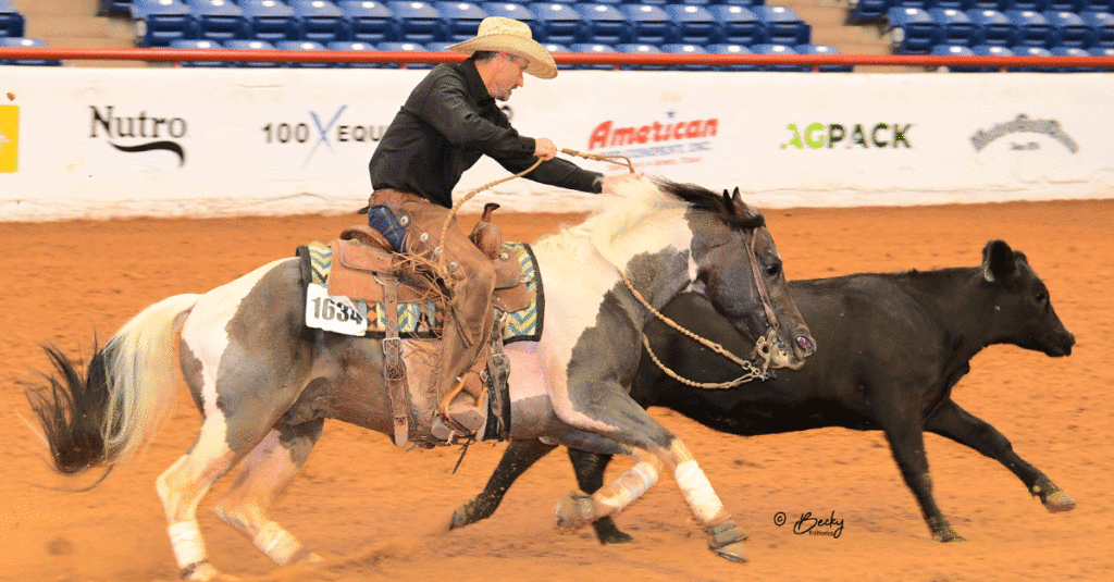 ValentinesHickory competing in a cow work class.